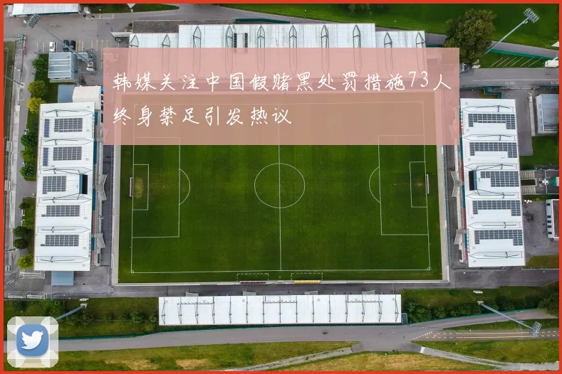 韩媒关注中国假赌黑处罚措施73人终身禁足引发热议
